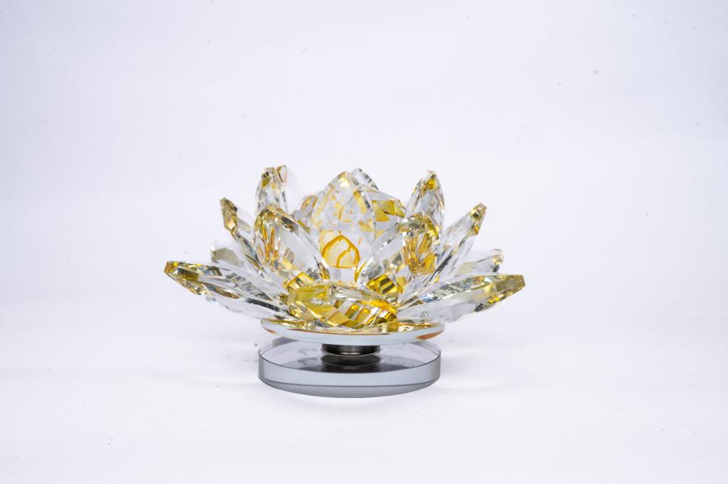 Yellow Crystal lotus