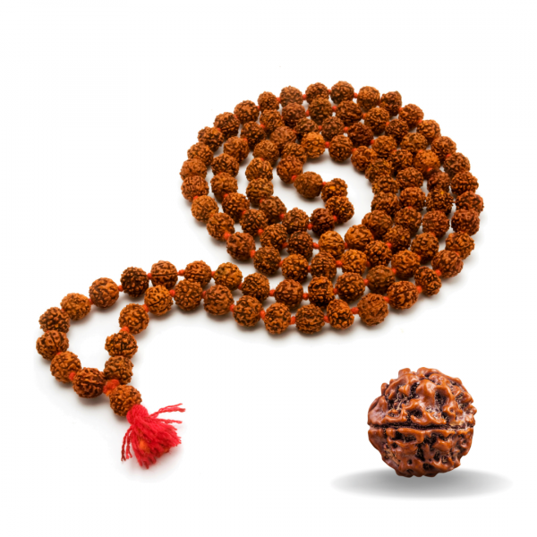 rudraksha Gayatri Vastu Consultancy Pune